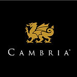 cambria_V_BBack_rgb.png