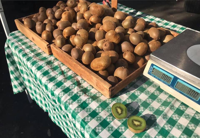 farmtofruit-kiwi6.jpg