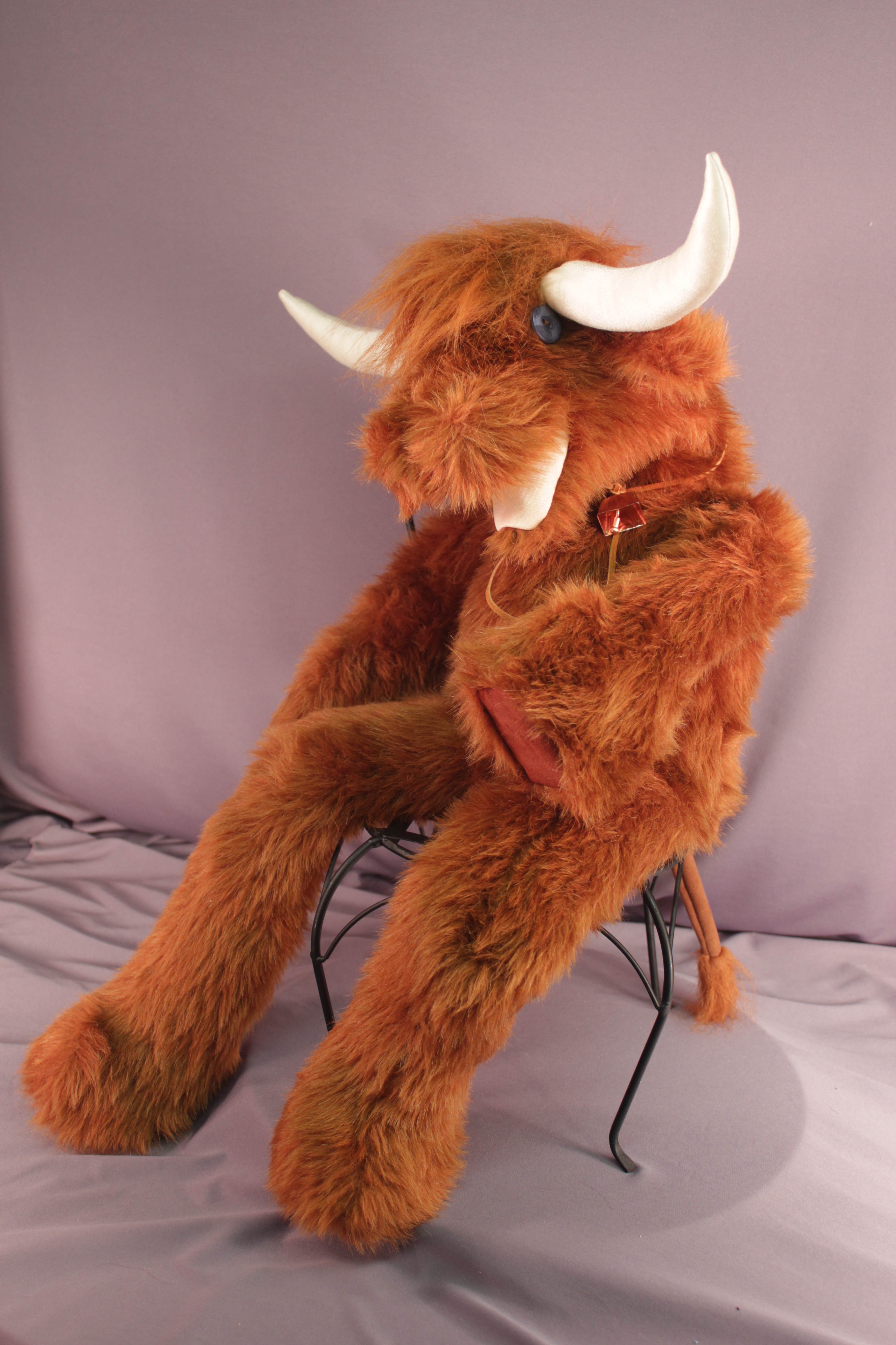 COW - COO Highland Coo