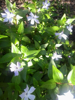 pousadadocamiñoreal.gal