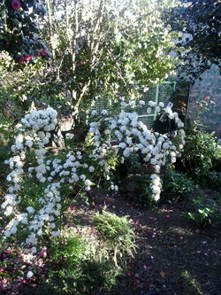 pousadadocamiñoreal.gal