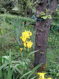 pousadadocamiñoreal.gal