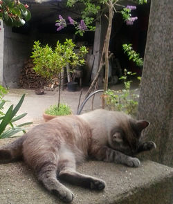 pousadadocamiñoreal.gal