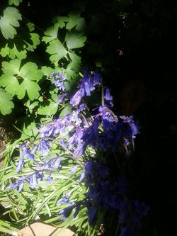 pousadadcreal-lorenzo.com