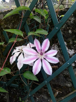 pousadadocamiñoreal.gal