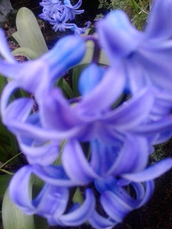 pousadadocamiñoreal.gal