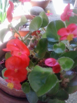 pousadadcreal-lorenzo.com