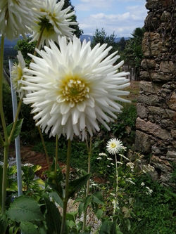 pousadadocamiñoreal.gal