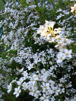 pousadadocamiñoreal.gal