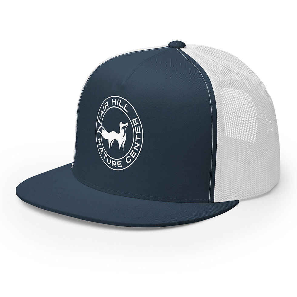 Thumbnail: Trucker Cap
