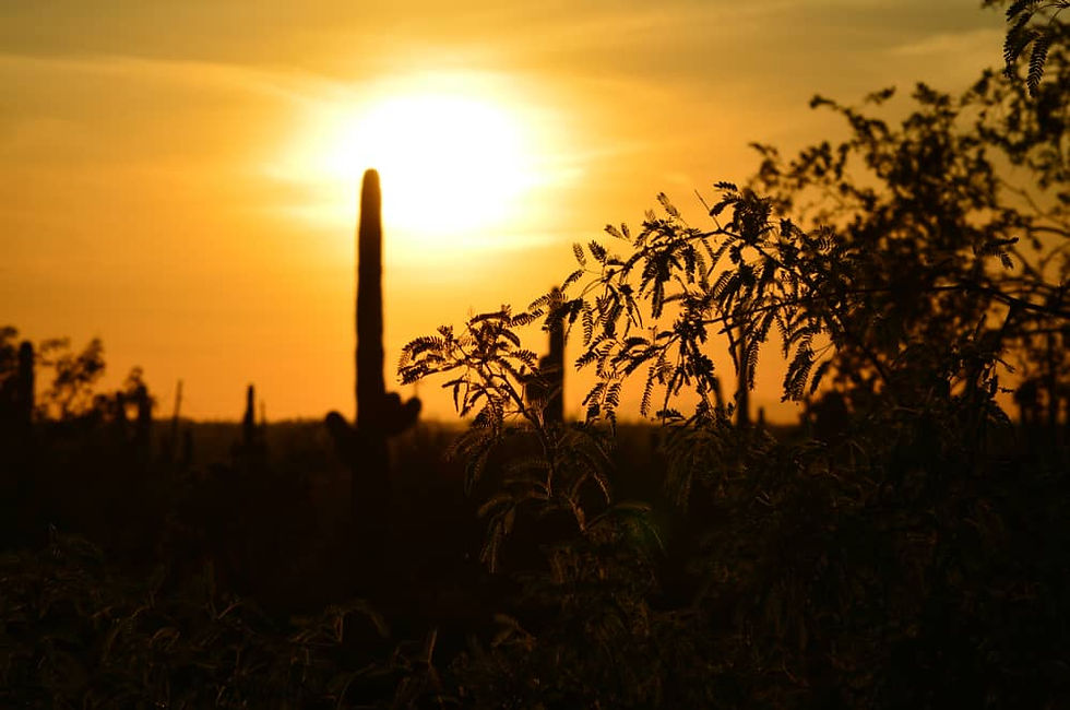 Sunset Near Surprise Arizona