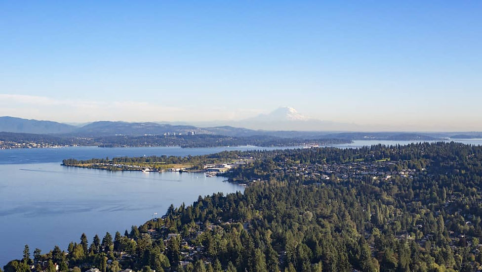 Ariel View of Shorline Neighborhoods, Mount Ranieir, Lake Washington