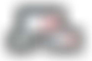 Retrolux Joins Silicon Valley Entrepreneurial Program