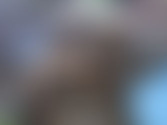 長期優良住宅化リフォーム補助事業継続決定。