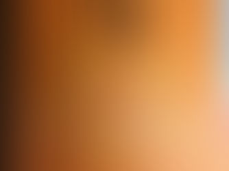 改修版 自立循環型住宅への設計ガイドライン