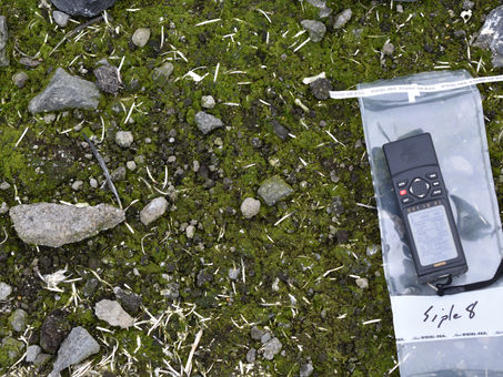 Join our online workshop: data management in the field