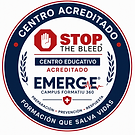 EMERGE 555.png