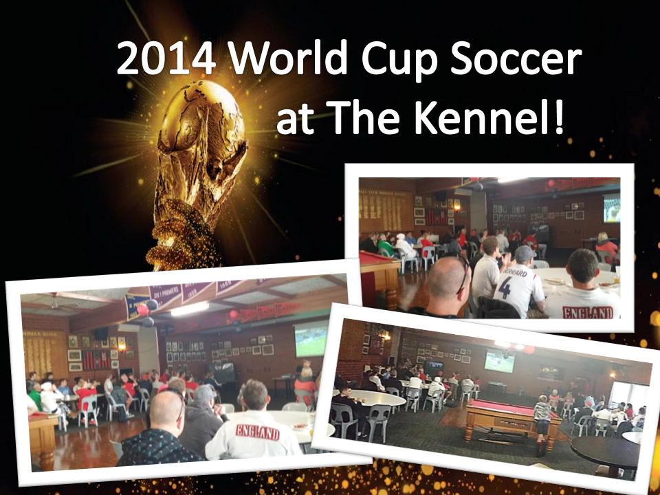 2014 World Cup