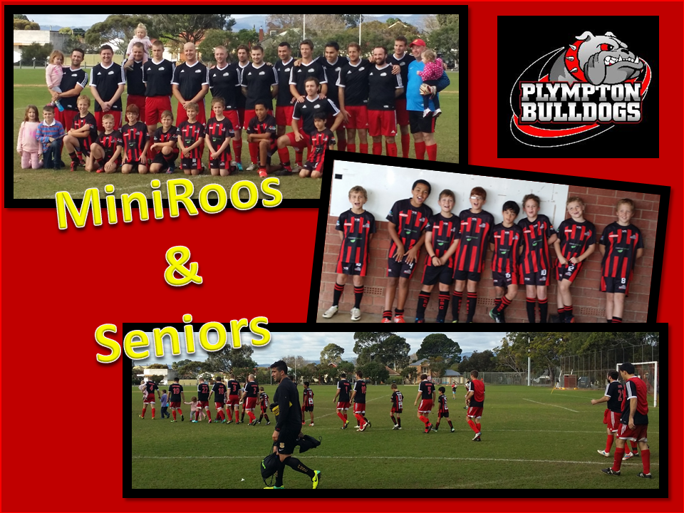 MiniRoos & Seniors