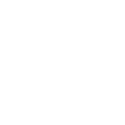 Icon of a shield inside a gear representing parts security