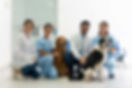 Best Veterinary Clinics in Richmond Hill.jfif