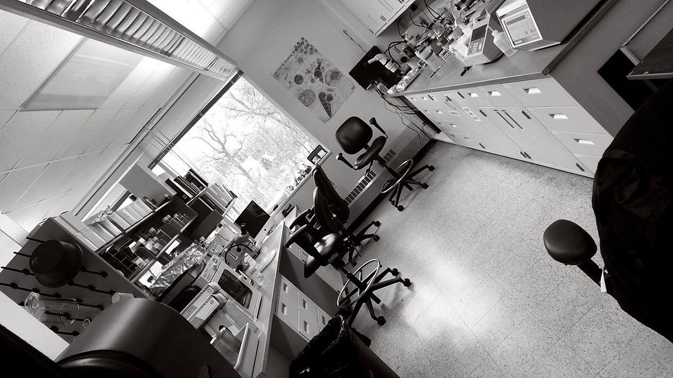 The Beane Laboratory Space
