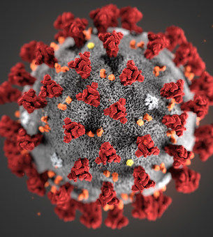 Diet-related diseases pose a major risk for Covid-19