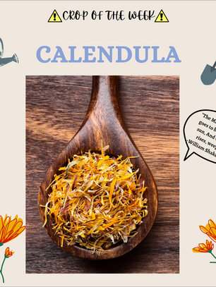 Calendula? Who knew . . .