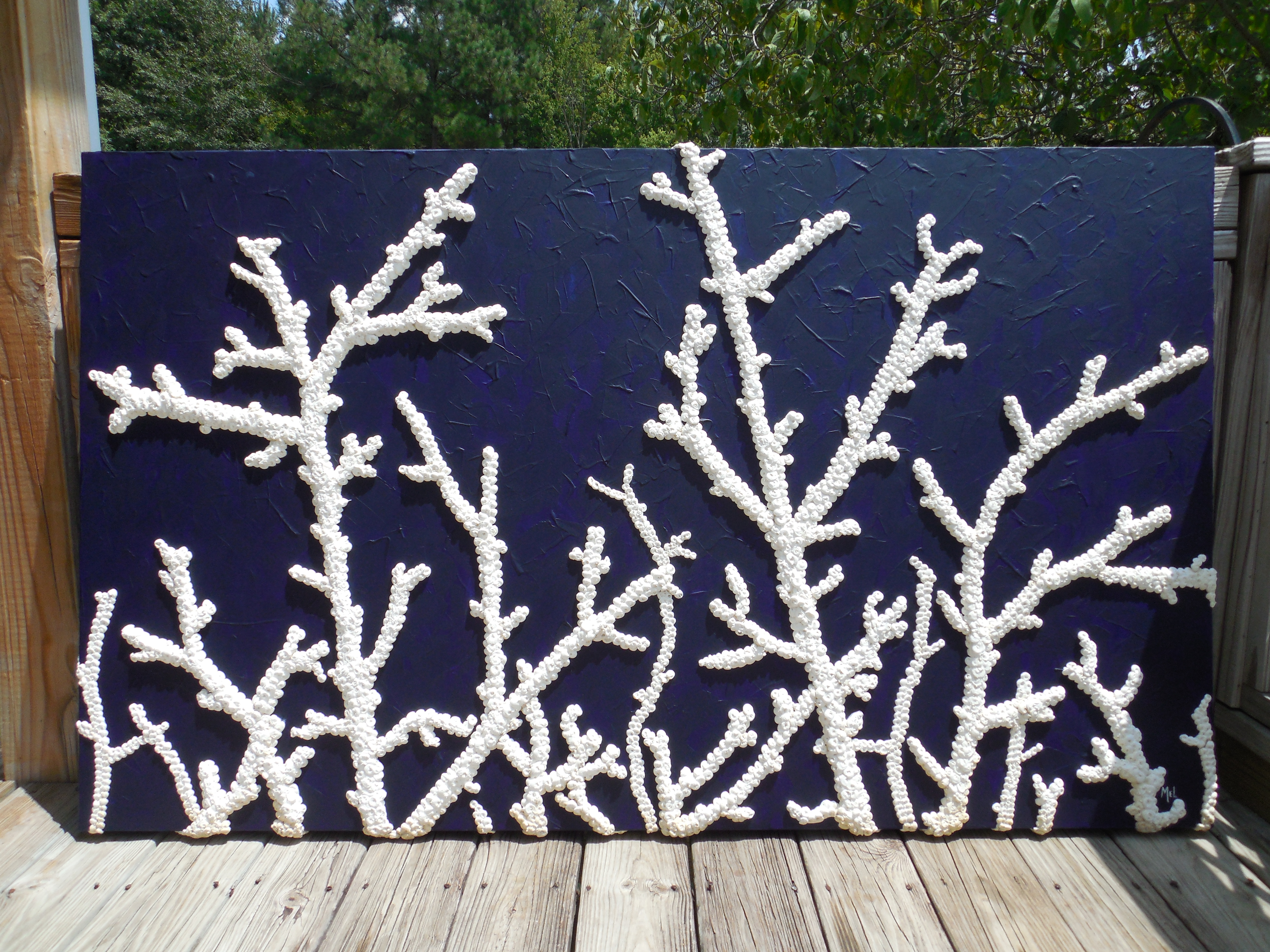 133 Alabaster Coral 60 x 36 August 2016 (133).JPG