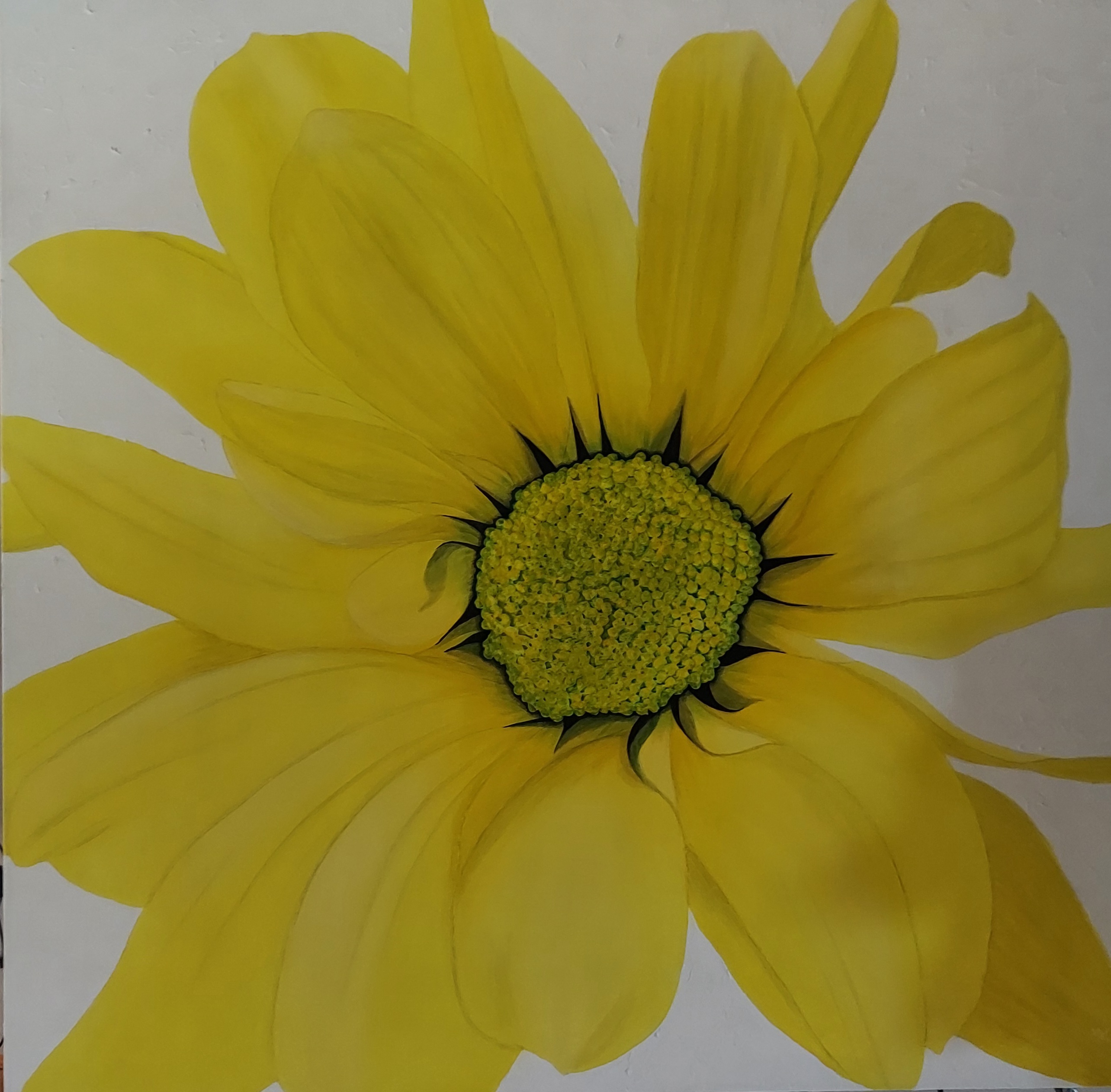 283 Hello Yello 46x46.jpg