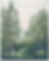 Screenshot 2025-04-17 at 5.46.51 AM.png