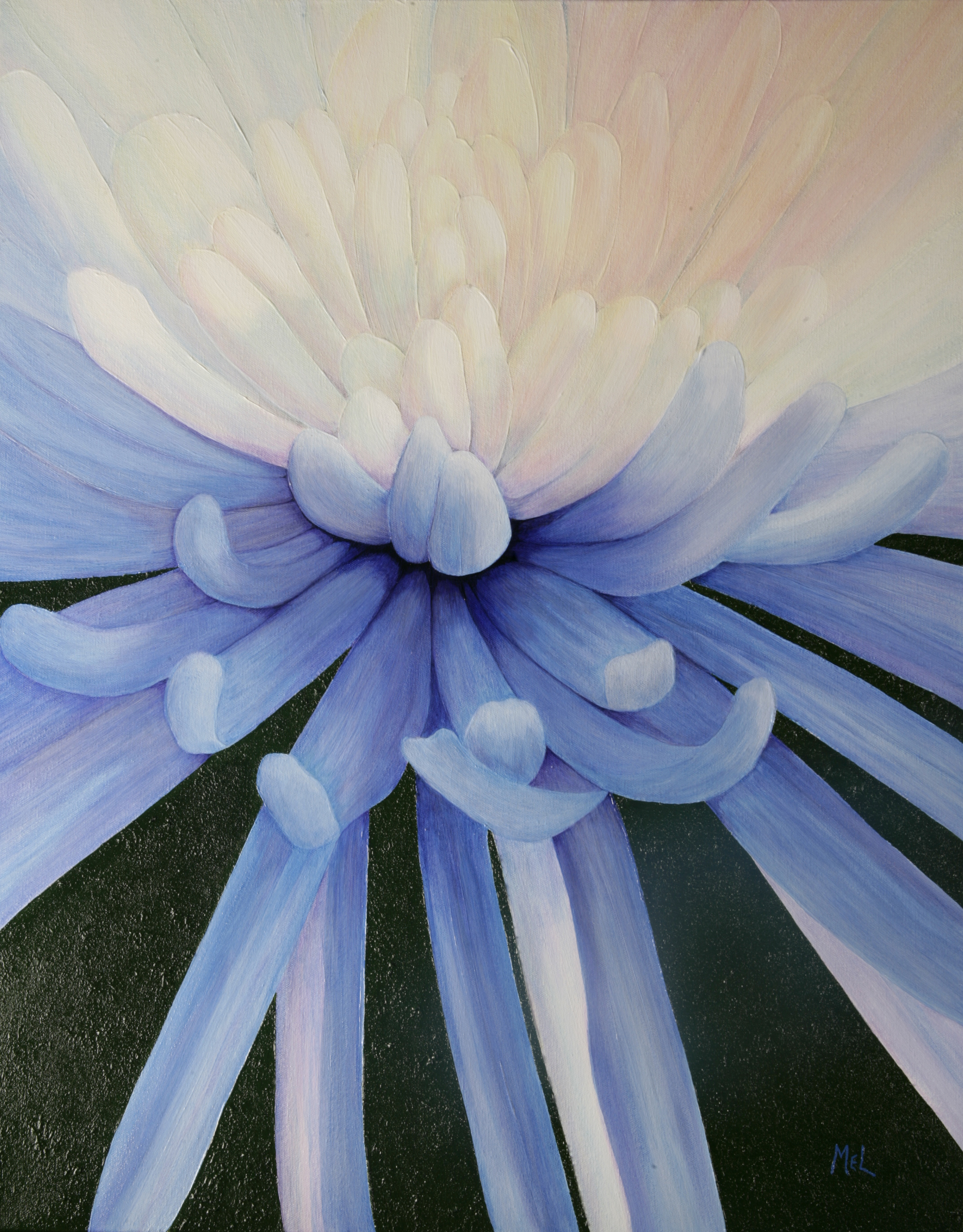 Chrys 24 x 30 October 2008 (25).JPG