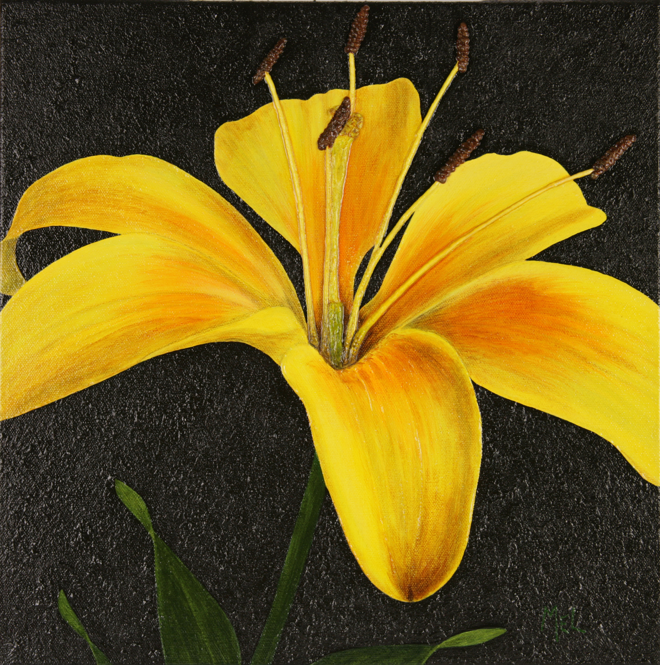 Bess_ Favorite 14 x 14 June 2008 (19) gift Mom Stuckey.JPG