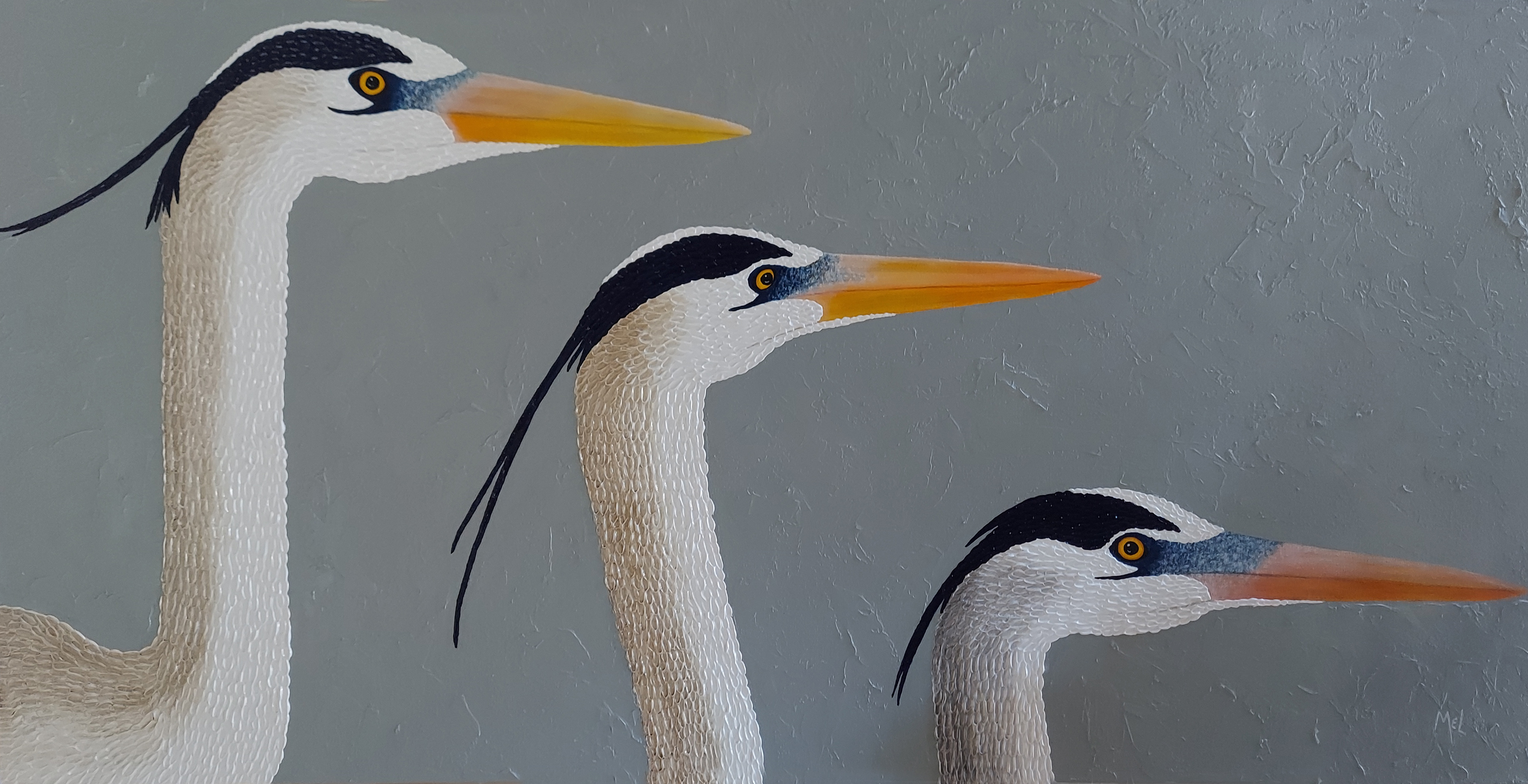 The 3 Amigos 48x24 October 2023 (287).jpg