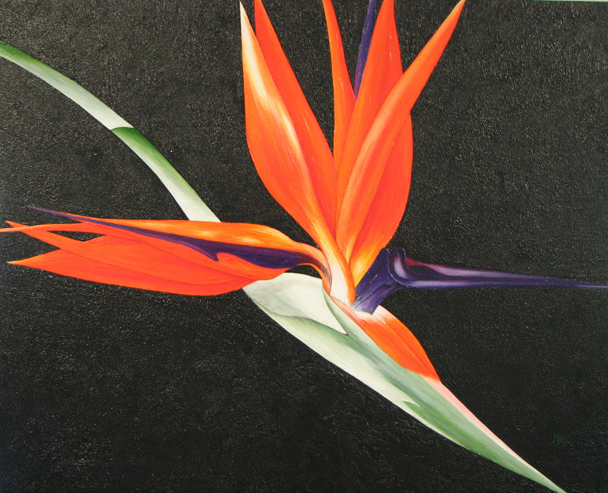 Bird of Biltmore 24 x 30 May 2010 (47)sold 10-8-10 Wingard_s Art in the Garden.jpg