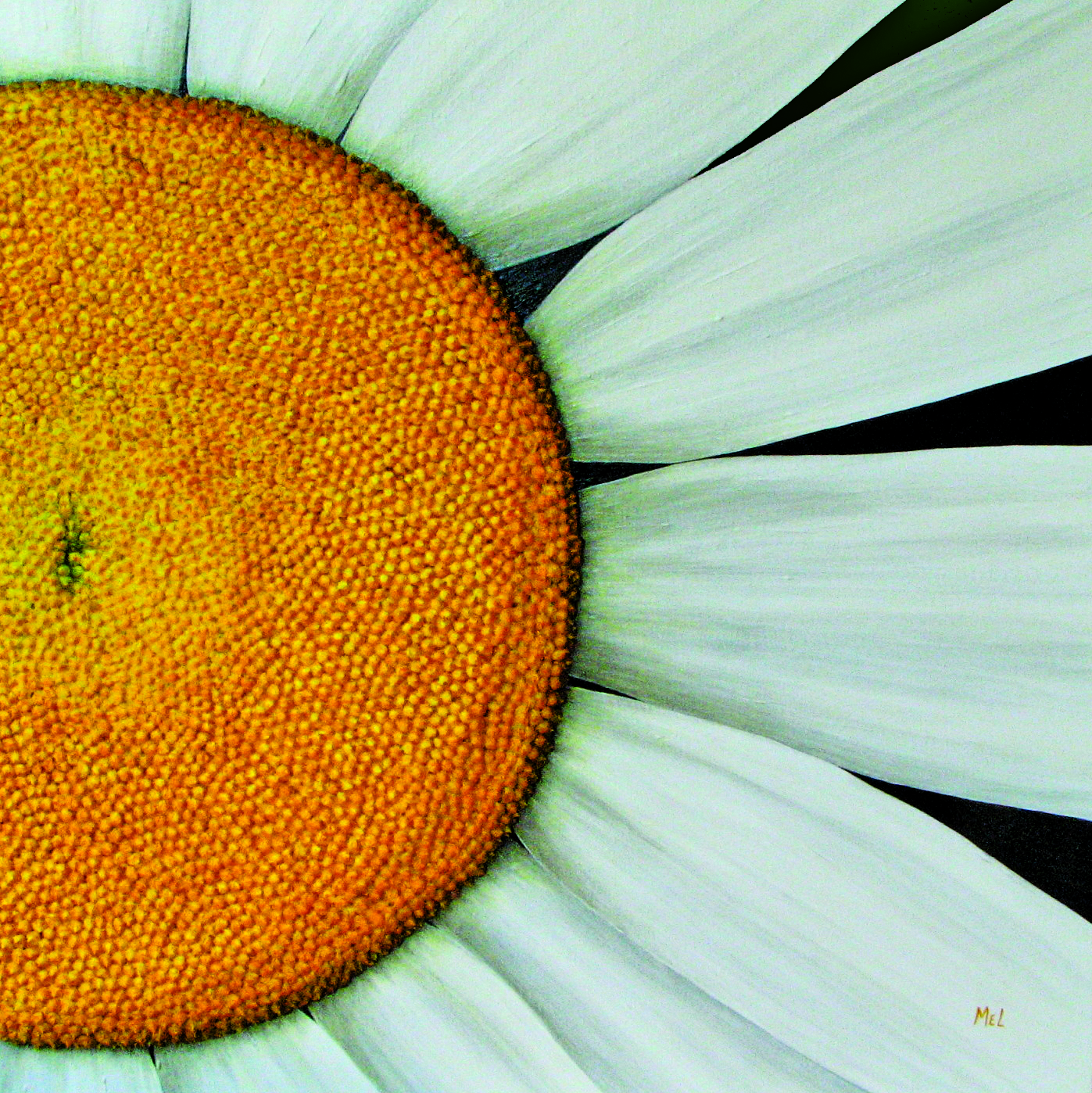 Crazy Daisy 24 x 24 June 2011 Edit 9-11.jpg