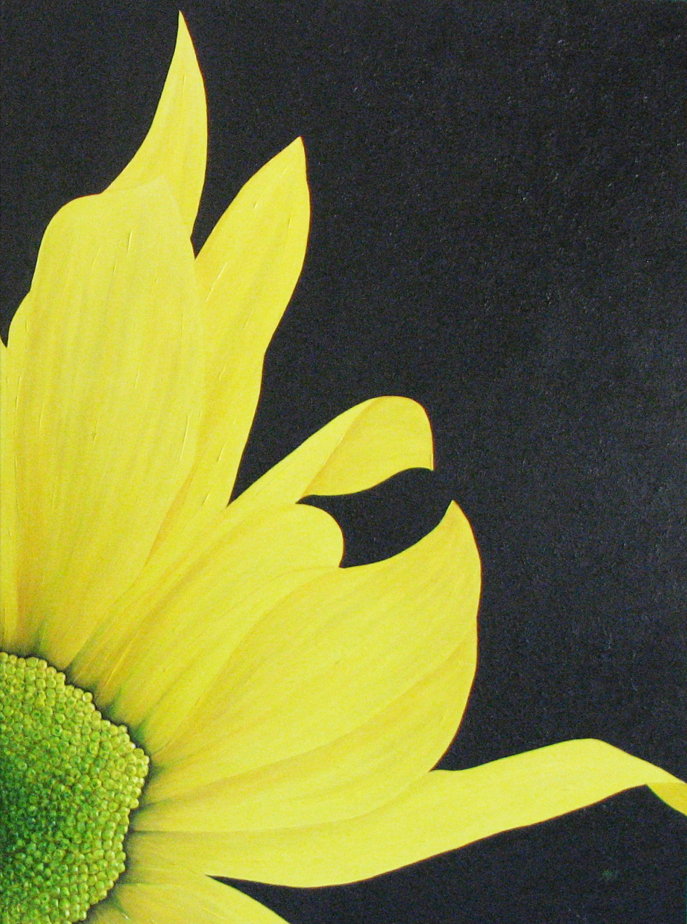 Sprung 30 x 40 April 2012.jpg