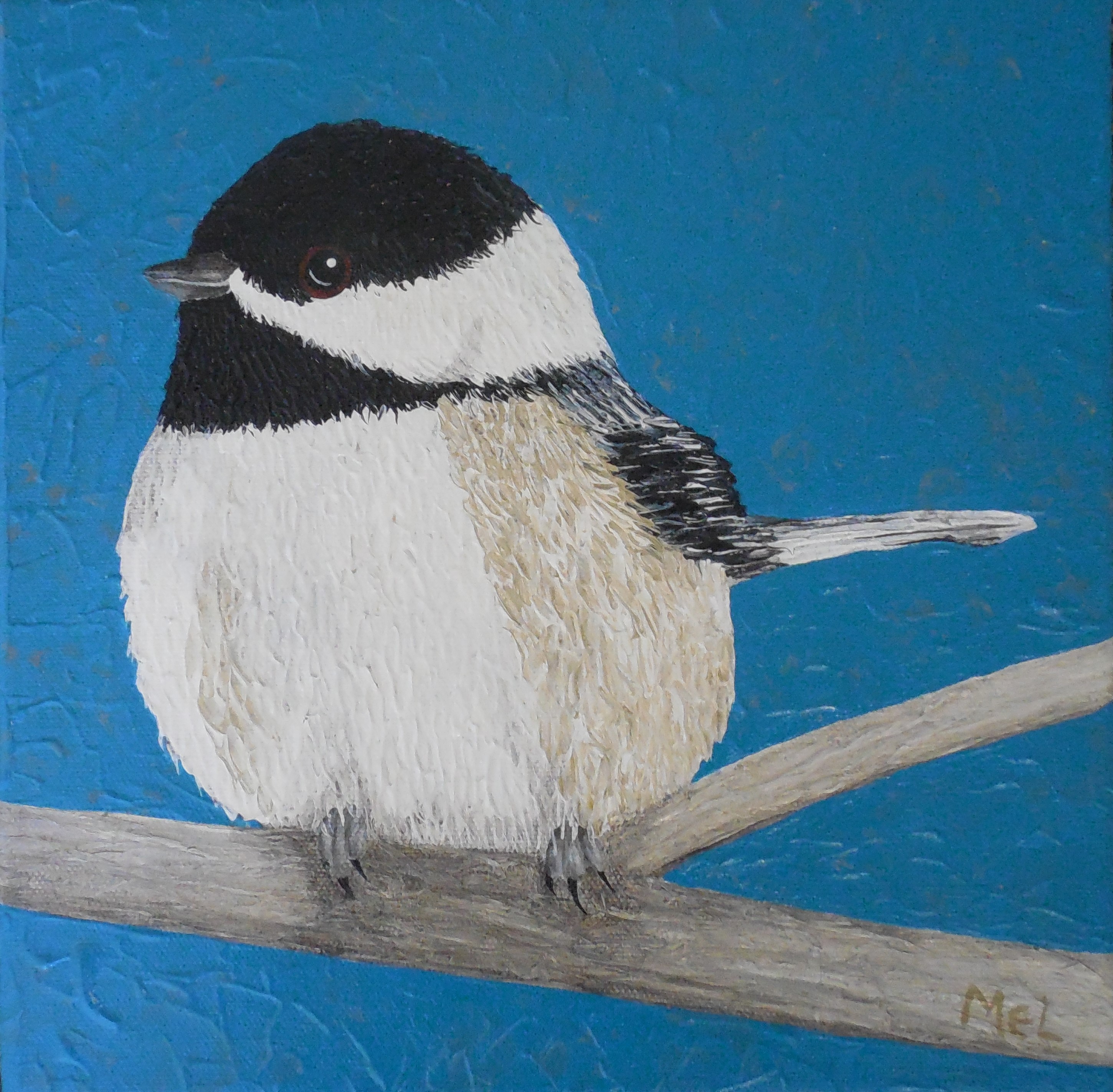 Carolina Chickadee 10 x 10 December 2017 (137)revised background sold M. Gallery Jan 2018.