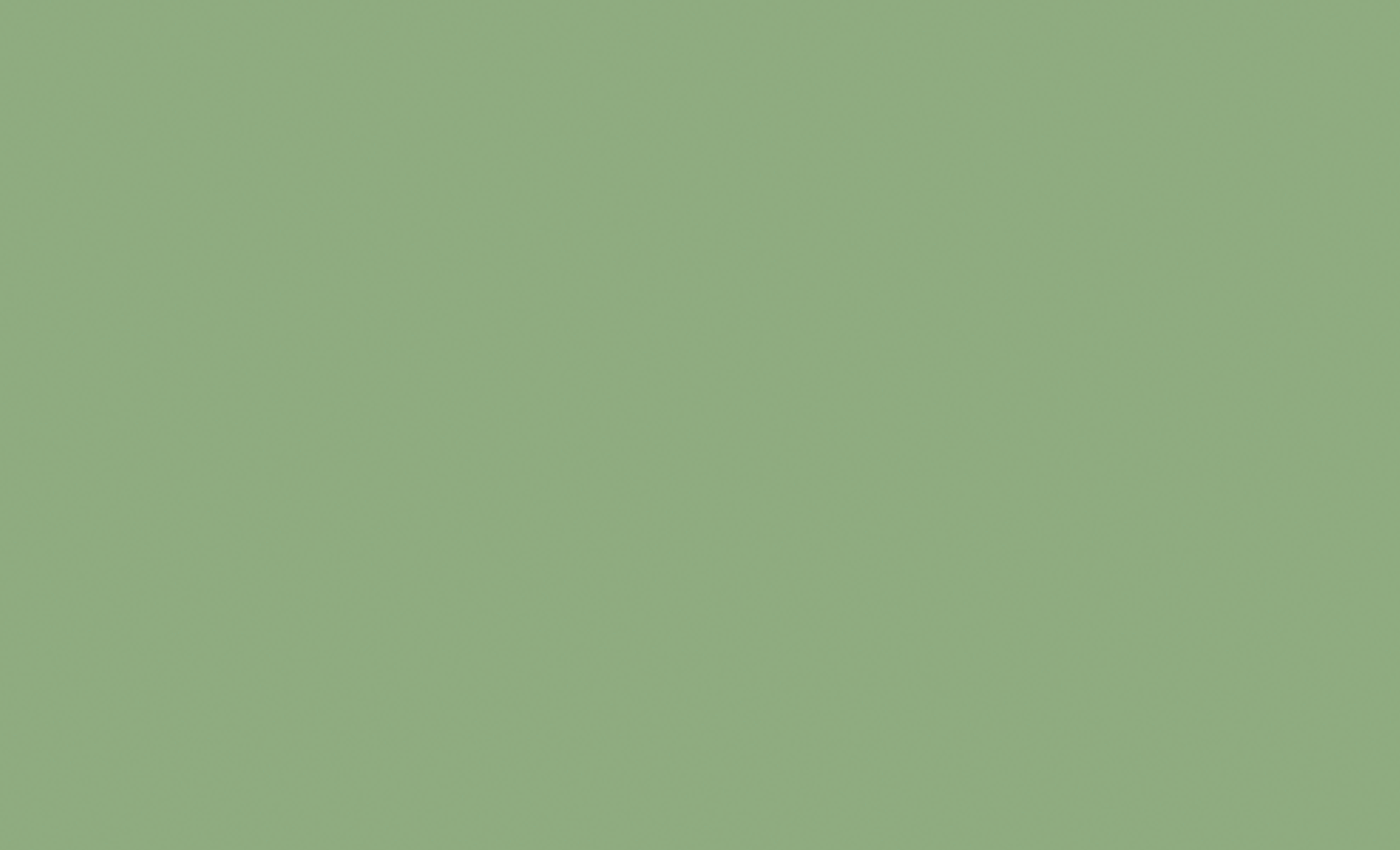 TheHAUS360_NicoStank.gif