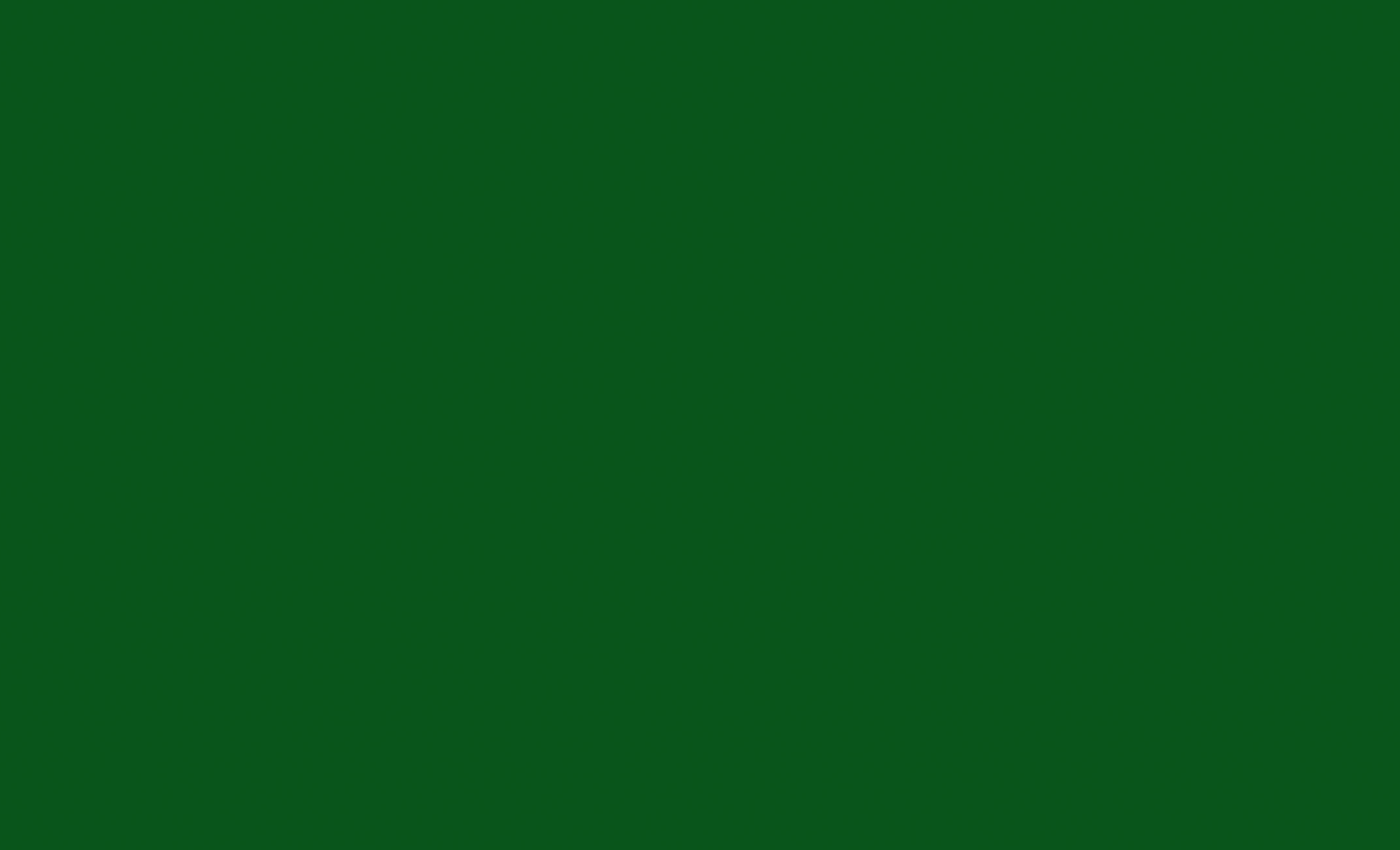 Kaulitz_s.gif