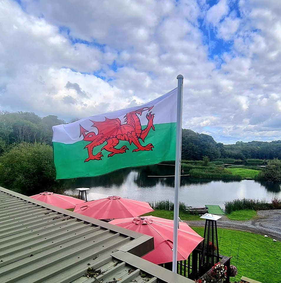 flag view