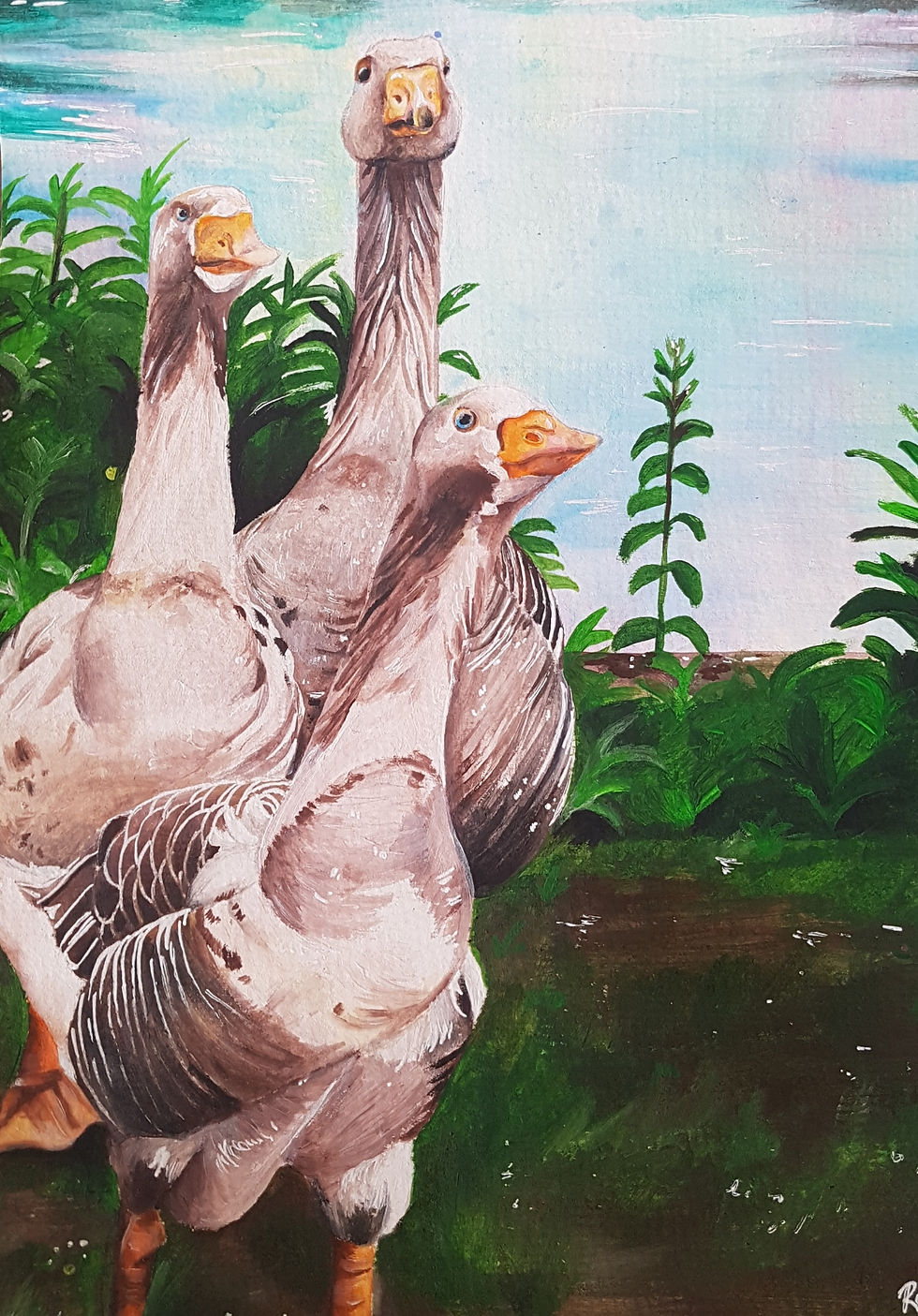 Geese Squad (2018)