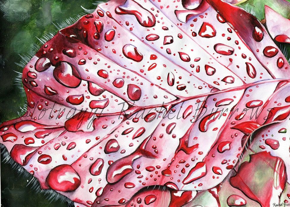 Pink rain (2016)