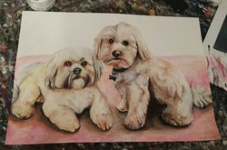 Dog commission (2017)