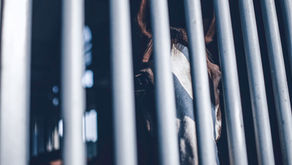 Is your job an elegant prison?