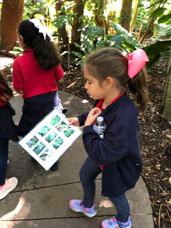 cc863292-52d8-4da8-9d2a-85b55db1c611