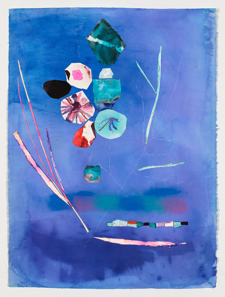 Sally Egbert | Works on Paper | Flowers#45