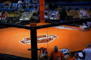 Hexagon MMA Cage | United States | Rings and Cages