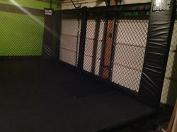 cagepanels