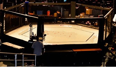 Hexagon MMA Cage | United States | Rings and Cages